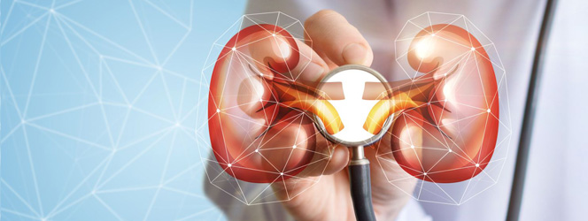 Aadira Kidney Care