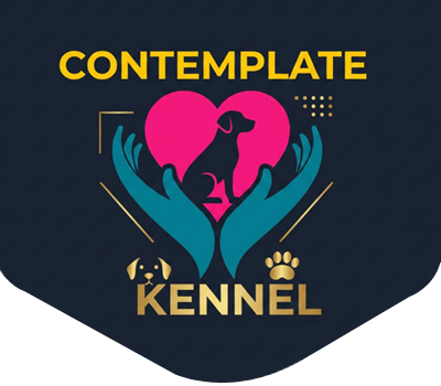 Contemplate kennel